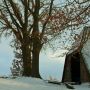 Winter an den Schafställen