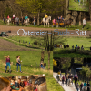 Ostereier Suchritt mit den 3 "Osterhasen"