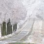 Winter am Oldendorfer Weg